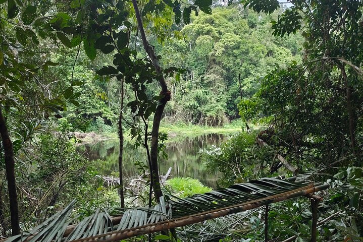 Discover the Amazon for 3 Days 2 Nights