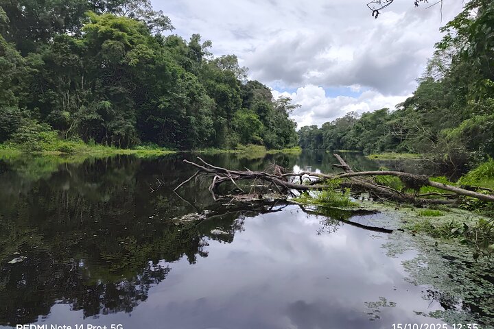 Jungle Explorer Tour 5 days 4 nights