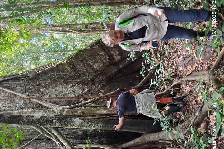Discover the Amazon for 3 Days 2 Nights