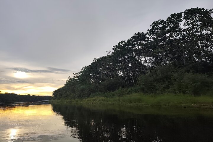 Discover the Amazon for 3 Days 2 Nights