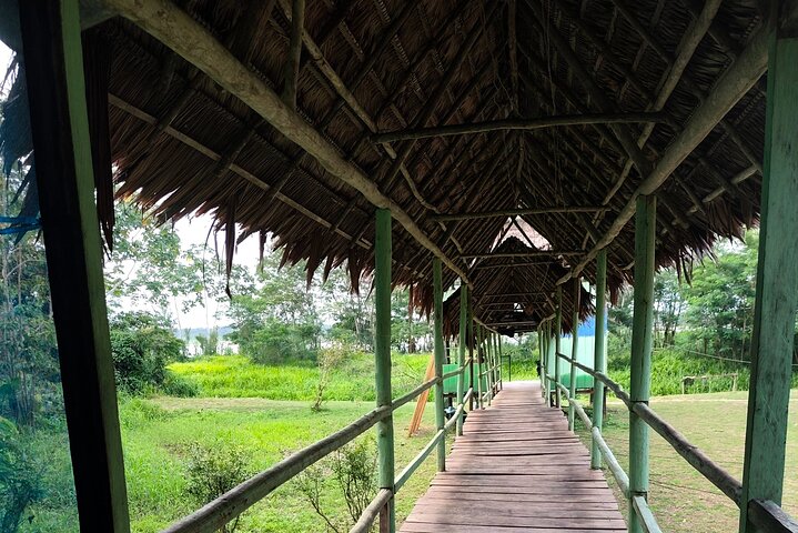 Discover the Amazon for 3 Days 2 Nights