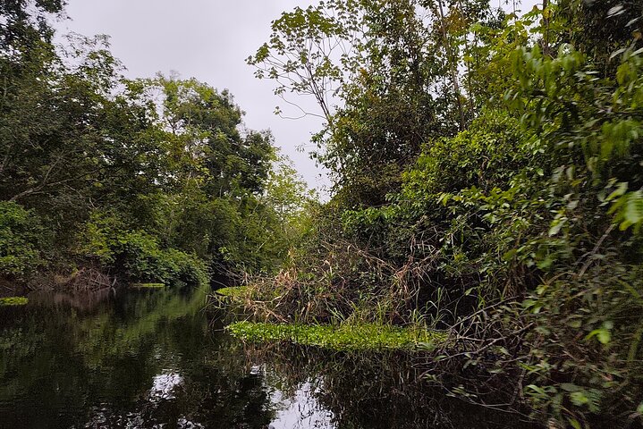 Jungle Explorer Tour 5 days 4 nights