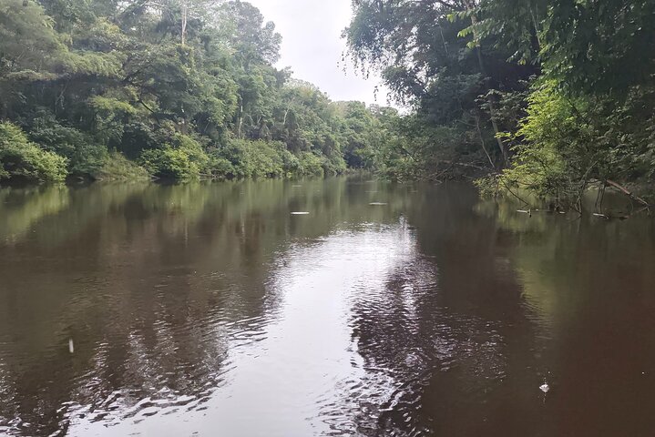 Jungle Explorer Tour 5 days 4 nights
