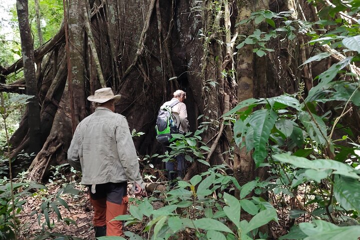 Jungle Explorer Tour 5 days 4 nights