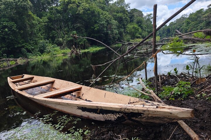 Jungle Explorer Tour 5 days 4 nights