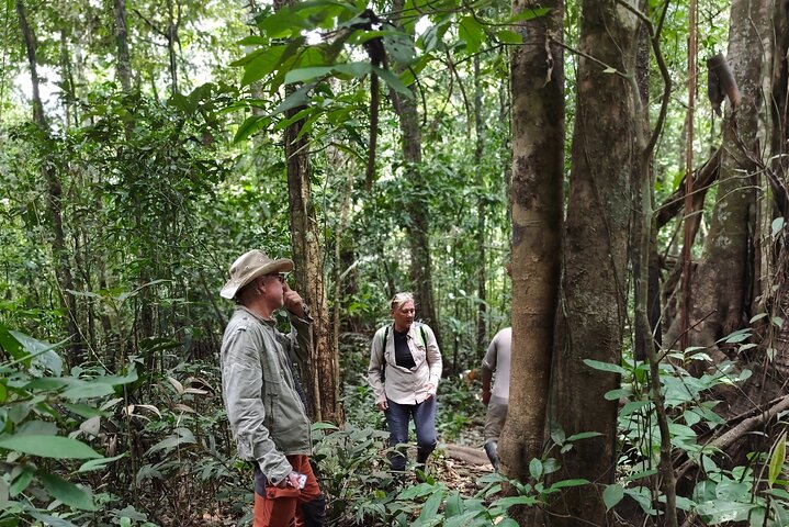 Jungle Explorer Tour 5 days 4 nights