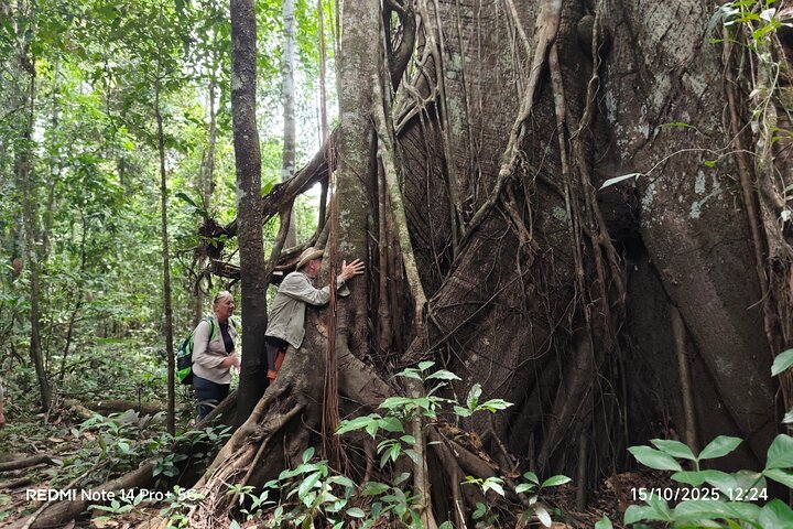 Jungle Explorer Tour 5 days 4 nights