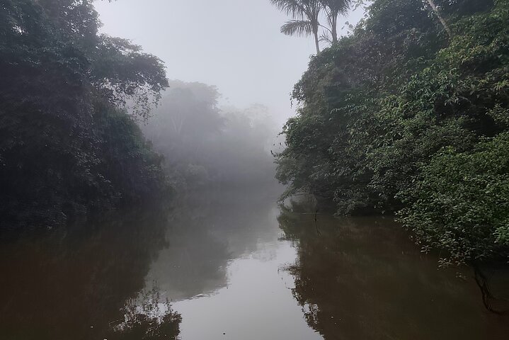 Jungle Explorer Tour 5 days 4 nights