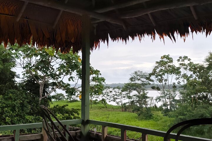 Jungle Explorer Tour 5 days 4 nights