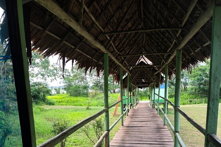Jungle Explorer Tour 5 days 4 nights