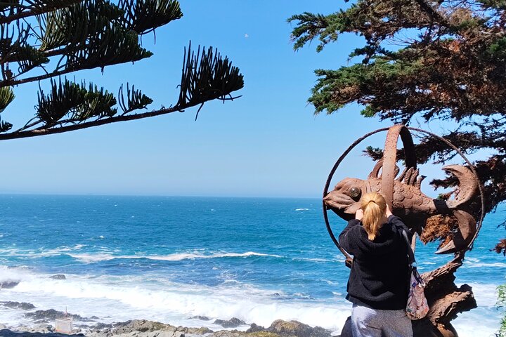 wetravelneruda’s route - Pablo Neruda’s route - Private tour