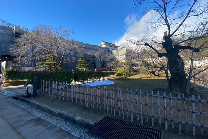 Himeji Castle Tour