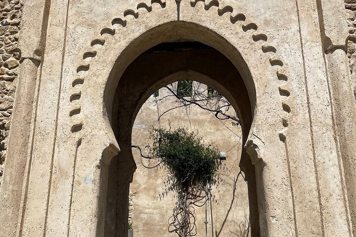 Private Luxury 4-Hour Tangier tour