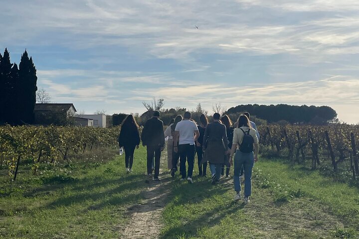 Camargue Day Trip Flamingos Wine and Dead Aquarius