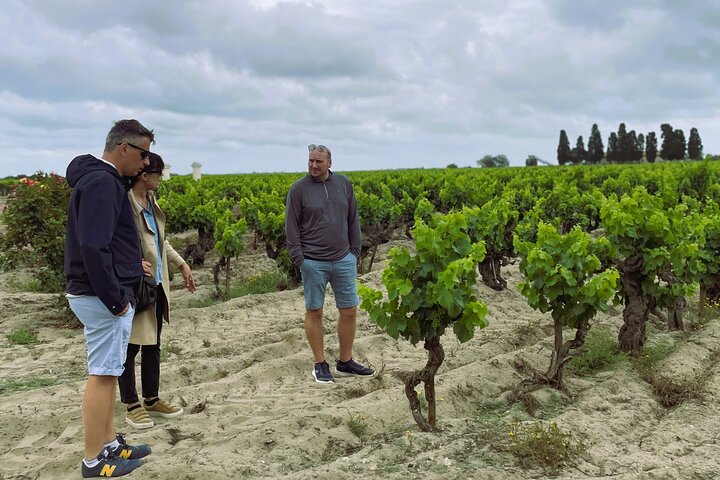 Camargue Day Trip Flamingos Wine and Dead Aquarius