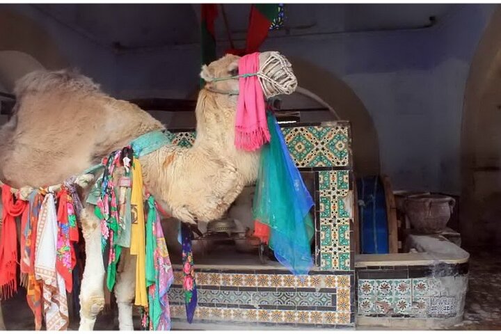 VIP Private Kairouan, El Jem & Monastir Tour