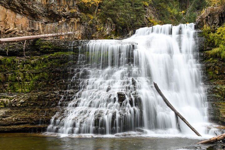 Full Day Guided Photo Tour in Yellowstone