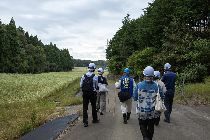 Ghibli-Inspired Adventure at Miyadani Quarry Ruins, Fukui