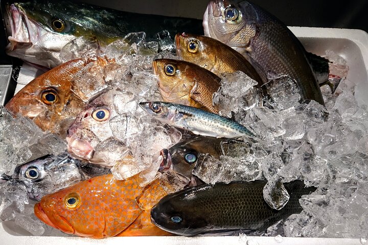 Niigata: Japanese Seafood Culture & Local Market Walk