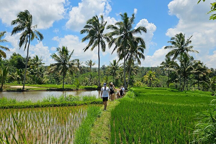 Lombok Private Car Hire with Driver Customizable Tour