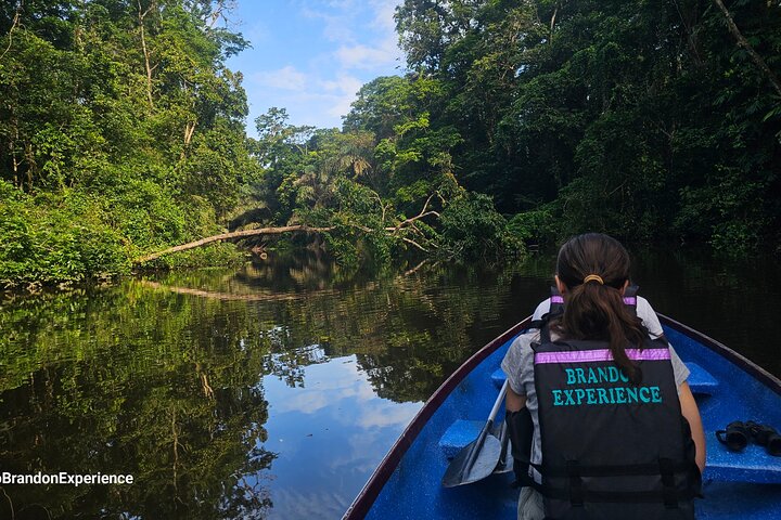 Canoe tour in Tortuguero National Park
