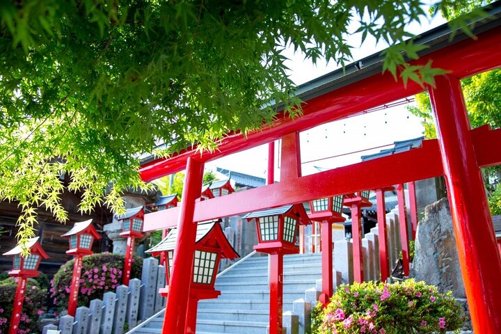 From Nagoya: Inuyama Castle and Tea Half-Day Tour (small group)