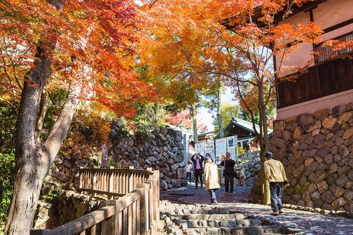 From Nagoya: Inuyama Castle and Tea Half-Day Tour (small group)