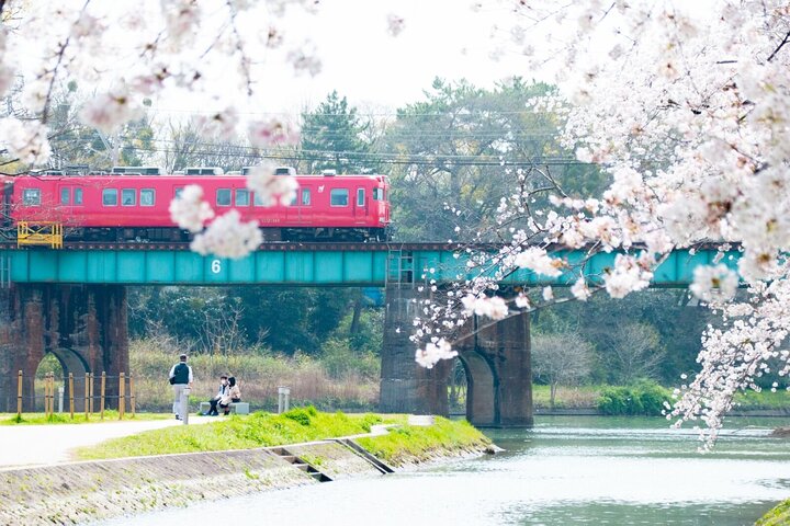 From Nagoya: Inuyama Castle and Tea Half-Day Tour (small group)
