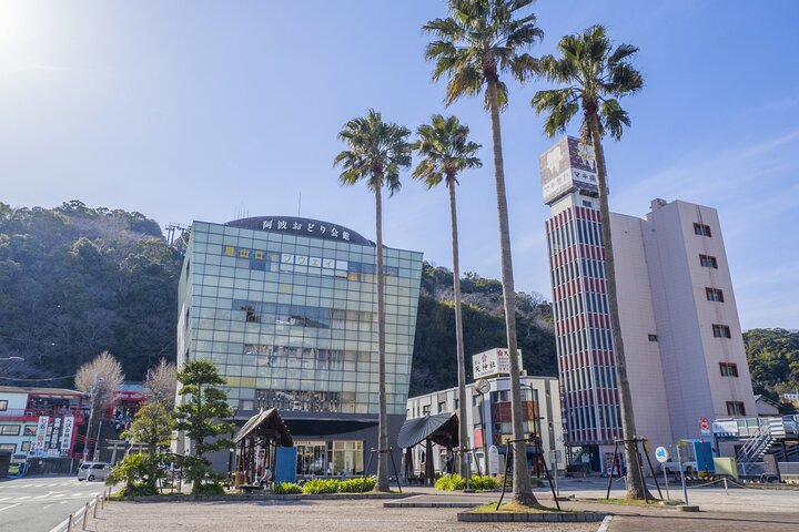 Tokushima: Awa Odori Museum Tour & Live Dance Experience