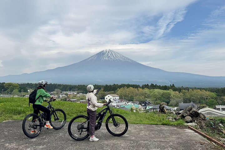 Private Full-Day Mt. Fuji Nature E-Bike Tour with Local Guide