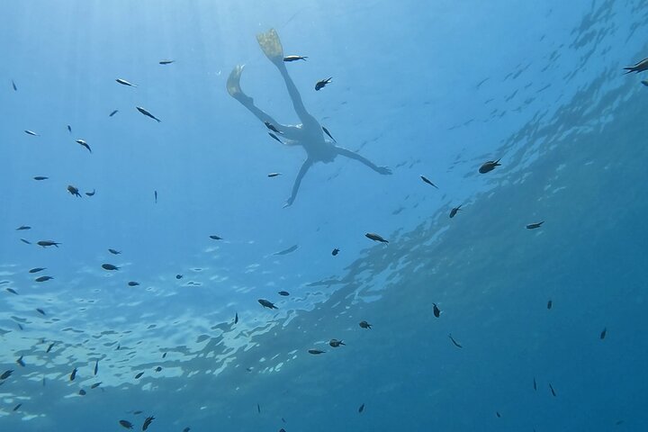 Boat trip and snorkeling in Villefranche - sur - Mer