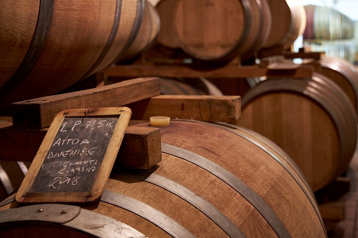 Organic Wine Tour&Tasting overlooking Chianti Classico Vineyards