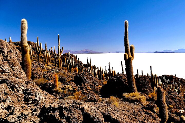 Uyuni Salt Flats Full Day Tour with Sunset