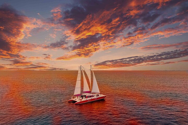 Snorkel with Turtles at WW2 Shipwreck Includes Sunset & BBQ