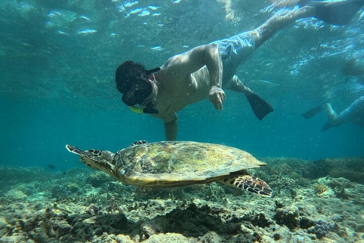 Gili Island Exclusive Private Snorkeling Underwater Escape