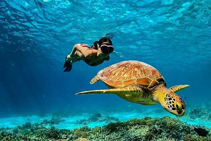 Gili Island Exclusive Private Snorkeling Underwater Escape