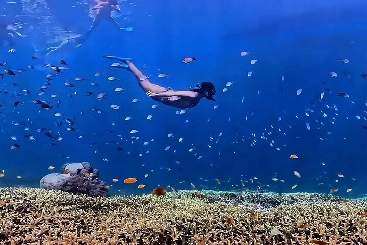 Gili Island Exclusive Private Snorkeling Underwater Escape