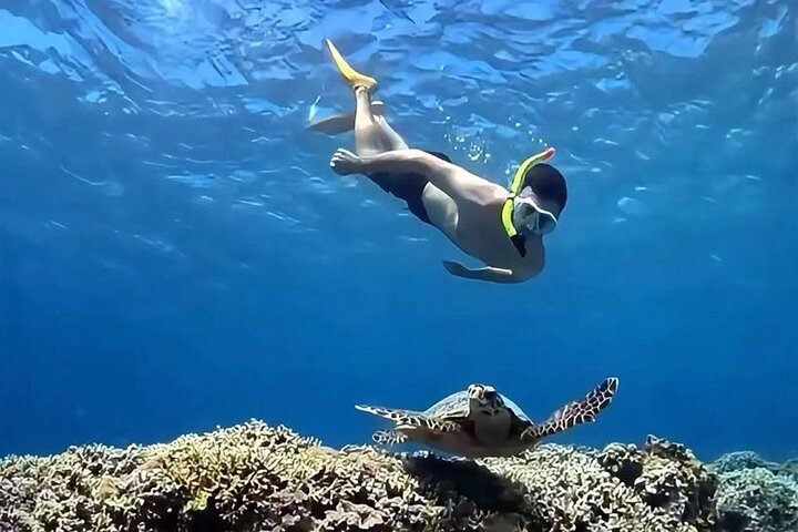 Exclusive Day Trip to Gili Trawangan, Meno & Air: Depart Lombok