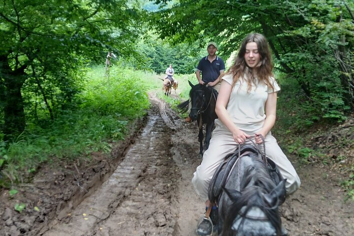 Scenic Trail Rides
