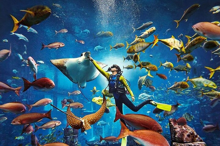 Atlantis Aquaventure Waterpark and Lost World Aquarium