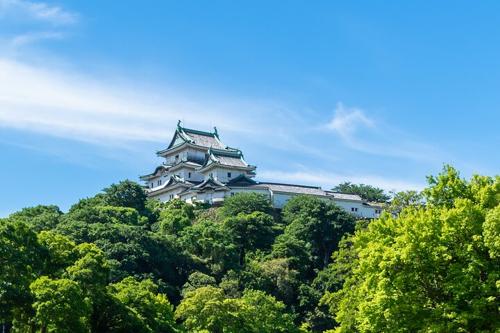 Wakayama Castle Samurai Photo Experience (Small Group, 90 Min)