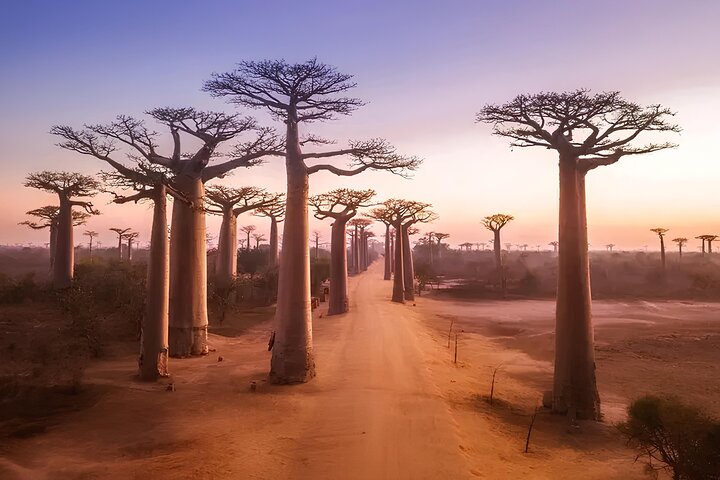Morondava, Tsingy and Baobabs Tour - 4 days