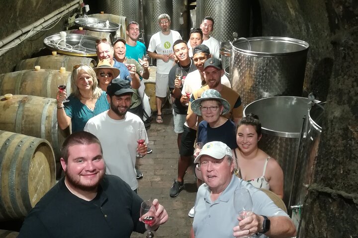 Countryside Half-day Gastro-Wine Tour from Budapest Meal & pickup