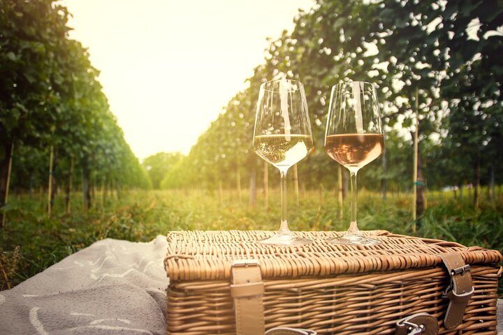 Countryside Half-day Gastro-Wine Tour from Budapest Meal & pickup