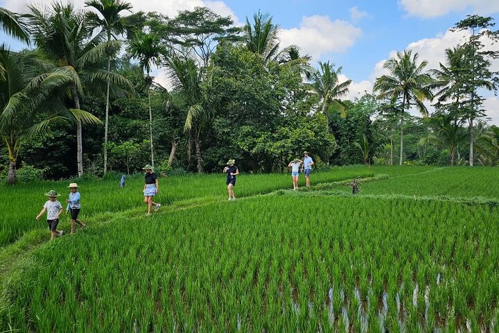 Lombok Private Car Hire with Driver Customizable Tour