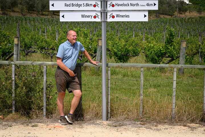 Top-Rated Hawke’s Bay Wine Tour - Small Group