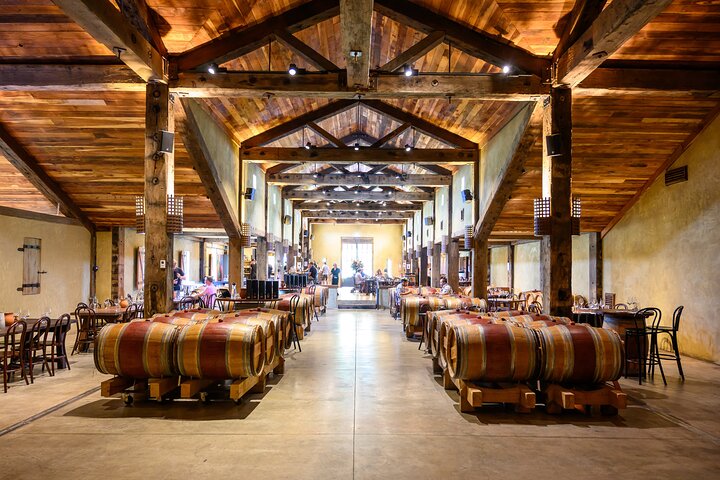 Top-Rated Hawke’s Bay Wine Tour - Small Group