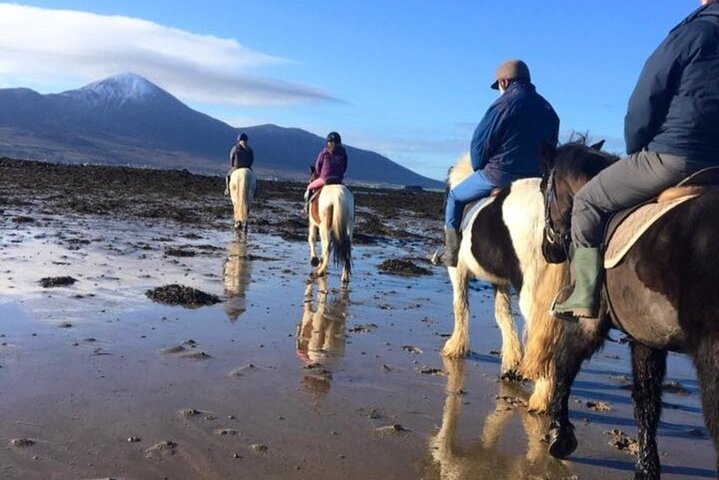 2 Hour Guided Beach and Countryside Horse Riding Outside Westport