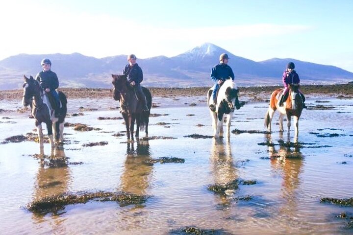 2 Hour Guided Beach and Countryside Horse Riding Outside Westport