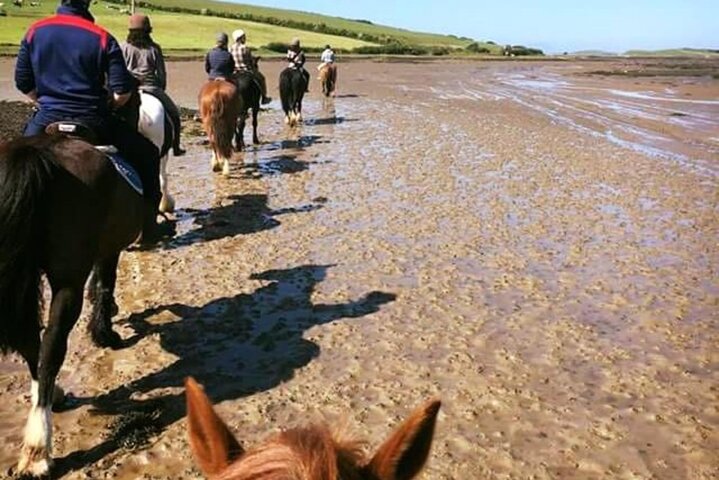 2 Hour Guided Beach and Countryside Horse Riding Outside Westport